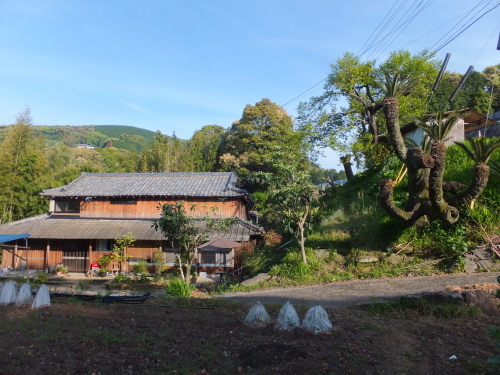 はじめまして_d0336460_18332198.jpg