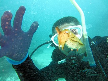 e0096370_2032225.jpg