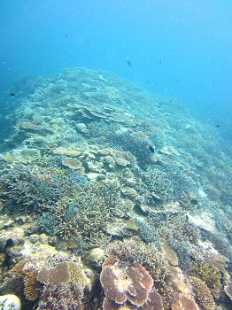 e0096370_20324368.jpg