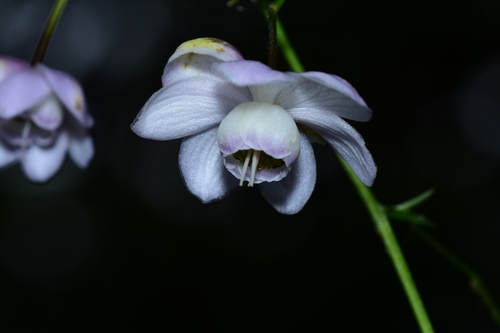 f0348480_15493670.jpg