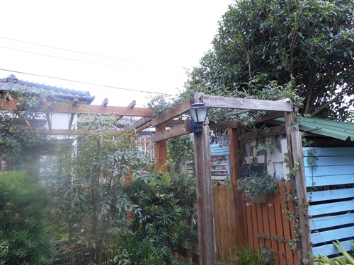 b0096584_14192155.jpg