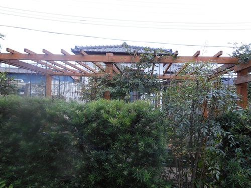 b0096584_18382870.jpg