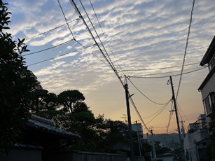 a0088892_6464574.jpg