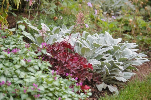 夏の間の芝生管理や庭への水やり English Hill