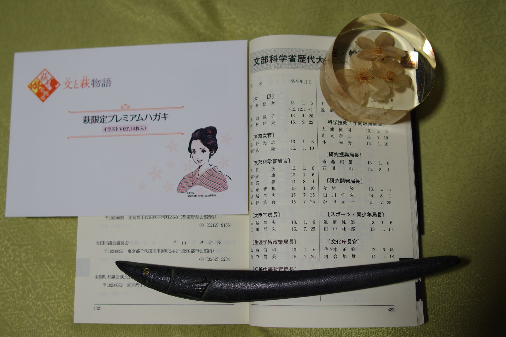 秋篠宮さまの「バッシング」「いじめ的」発言がぶり返された「悠仁さま」初の会見_c0192503_20503082.jpg