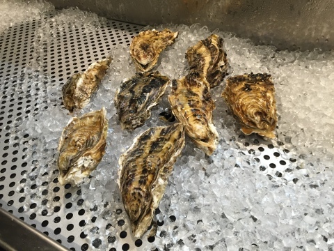 かき小屋 みるき 一徹 末広温泉 裏luz かき小屋 みるき 一徹 末広温泉 裏luz