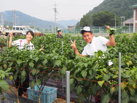 広島平和+農業キャンプ　２０１５夏　報告！_a0080406_11483782.jpg