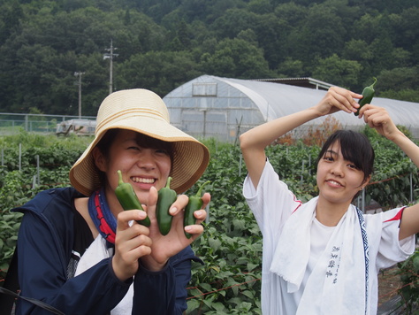 広島平和+農業キャンプ　２０１５夏　報告！_a0080406_11502858.jpg