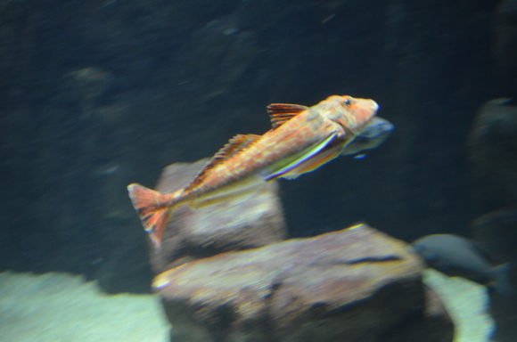 c0336907_19491161.jpg