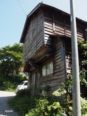 中野植物園～清水町まち歩き_d0226407_11593034.jpg