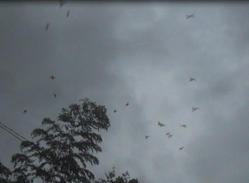 f0231709_7194043.gif