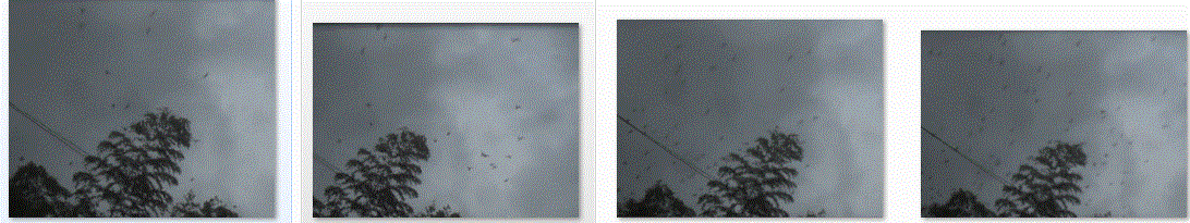 f0231709_7241442.gif
