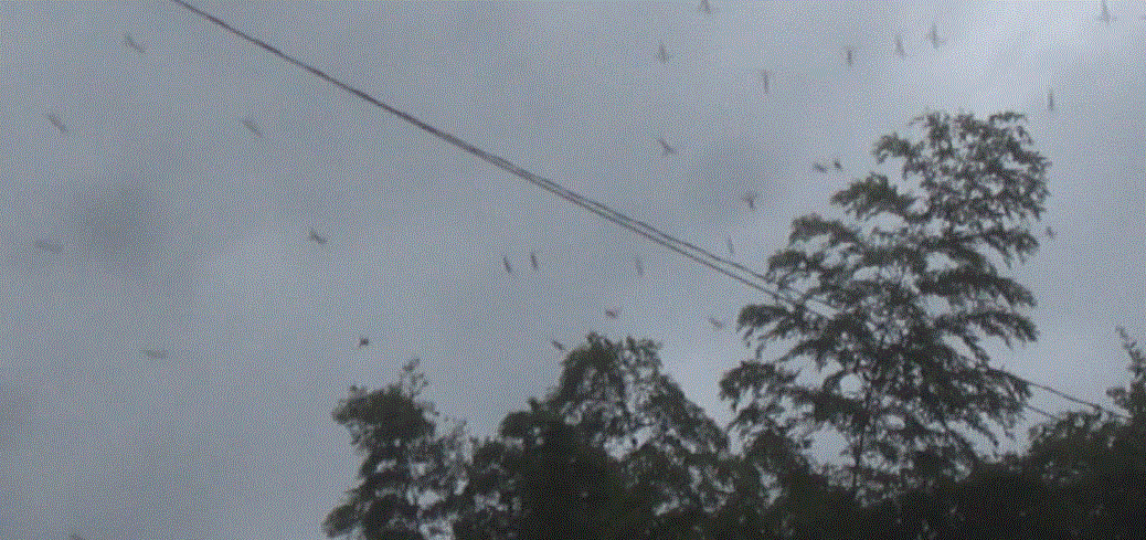 f0231709_7245061.gif