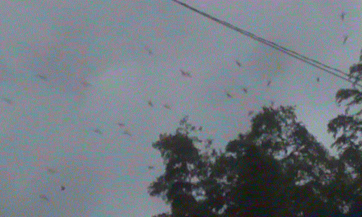 f0231709_7325428.gif