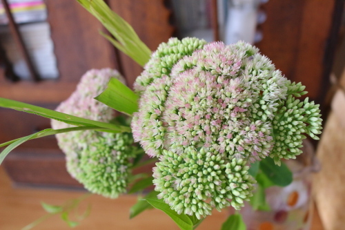 お花のある暮らし♪_f0354014_10321351.jpg