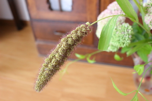 お花のある暮らし♪_f0354014_10321394.jpg