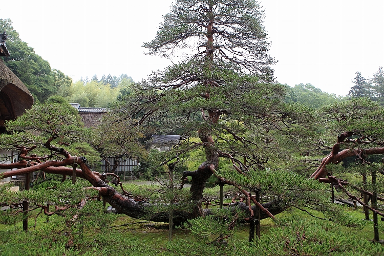 別所温泉　常楽寺より_e0303527_83282.jpg