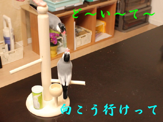 c0365734_22555068.jpg