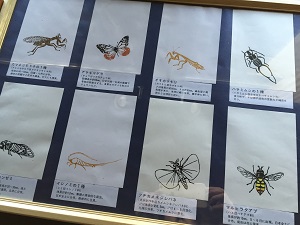 「極楽蜻蛉の友」展～（米田友和△□○展）_f0233340_0275435.jpg