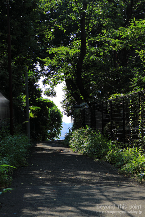 c0187744_1738522.jpg