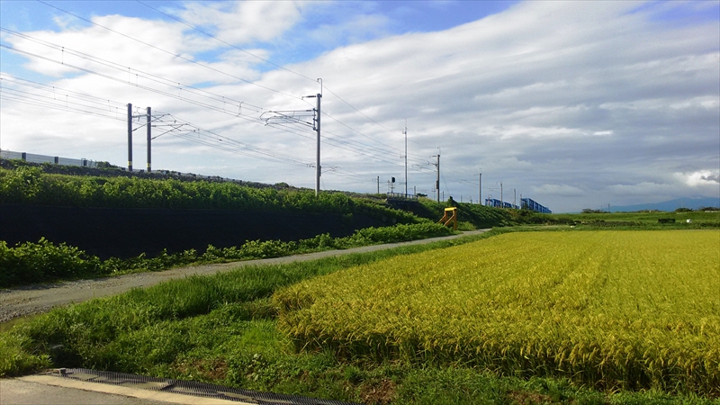 輪行　サイクリング　新庄－＞最上川－＞余目_c0172646_12563910.jpg