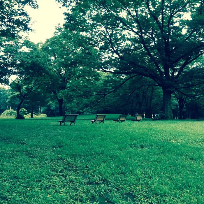 雨上がりの代々木公園 おしゃれな子供写真 家族写真撮影スタジオ H P S Tokyo Holidays Photo Service