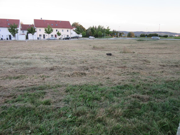 f0286647_239589.jpg