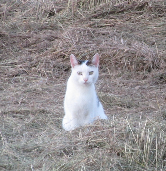 f0286647_35355.jpg