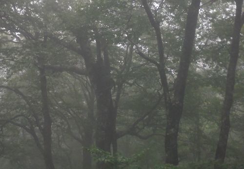 c0294658_05553528.jpg