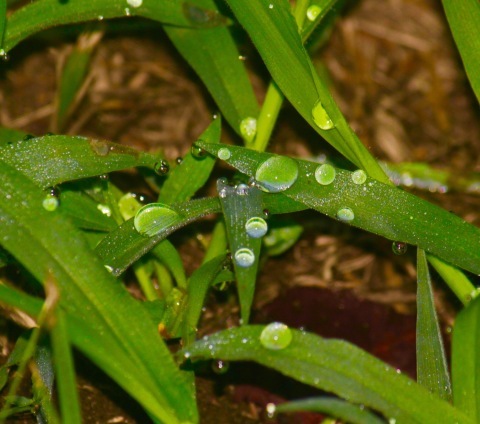 a0248459_19322264.jpg