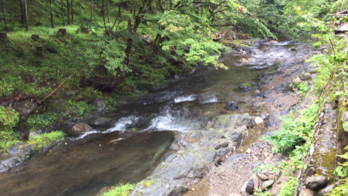 週末は京都…美山荘へ①_e0326573_12151201.jpg