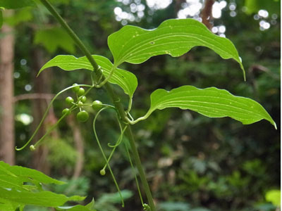 f0083977_1662752.jpg