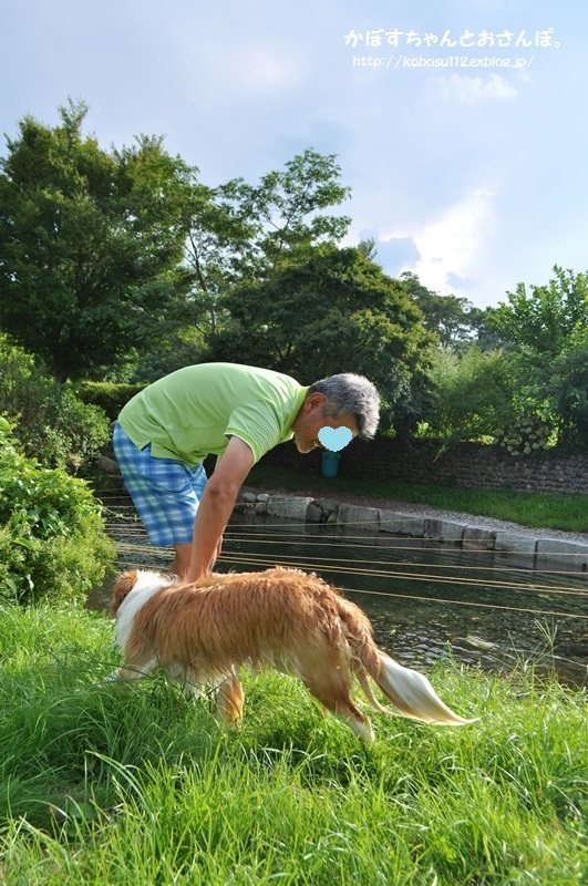安曇野っ子ノアちゃん④(戸隠キャンプ2015)_a0126590_18314390.jpg