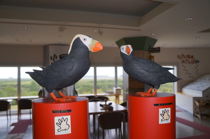 【北海道2015】霧多布湿原センター＆氷切沼のタンチョウ_e0241093_1731152.jpg