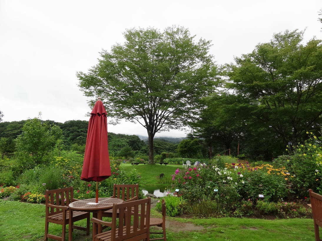 雨、雨、雨続きの週末_f0075595_21013616.jpg