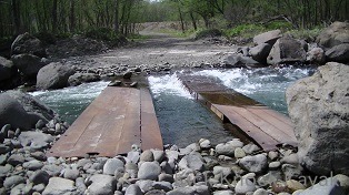 f0164003_1541148.jpg