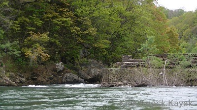 f0164003_15481238.jpg