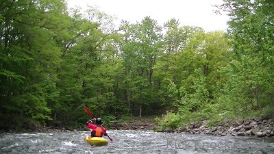 f0164003_15494286.jpg