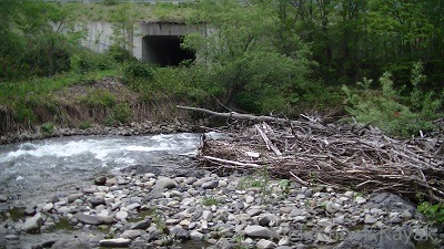 f0164003_1550791.jpg