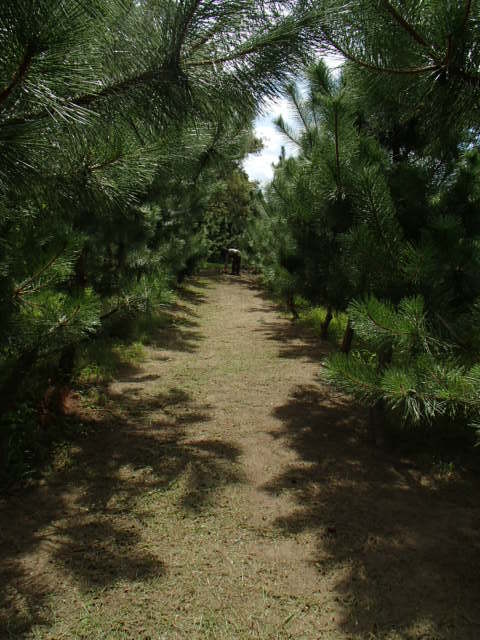c0367107_09393530.jpg