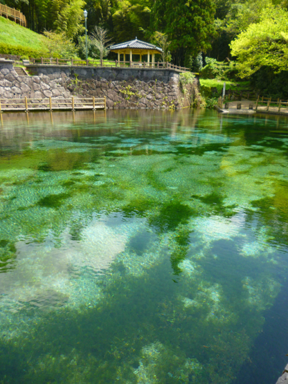 鹿児島　湧水町_f0008510_14445128.png