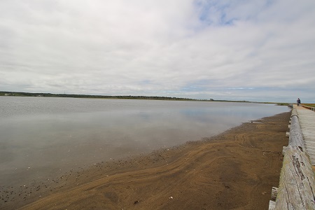 c0200413_163063.jpg