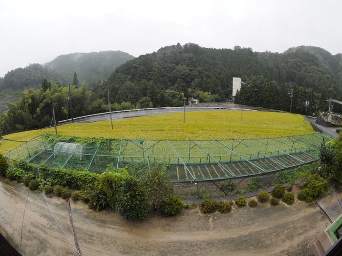 一日中雨_c0116915_23134686.jpg