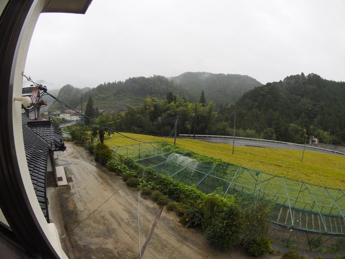一日中雨_c0116915_23155671.jpg