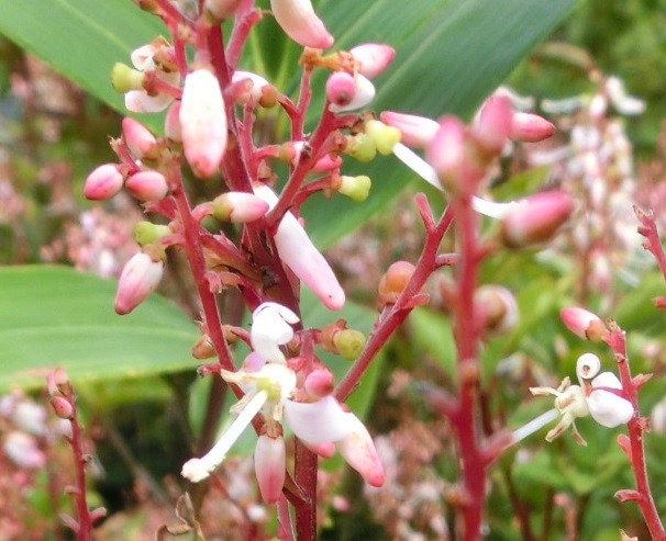 b0181818_10101370.jpg