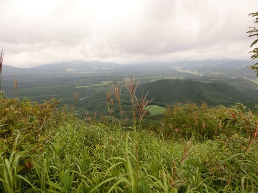 b0181818_1043896.jpg