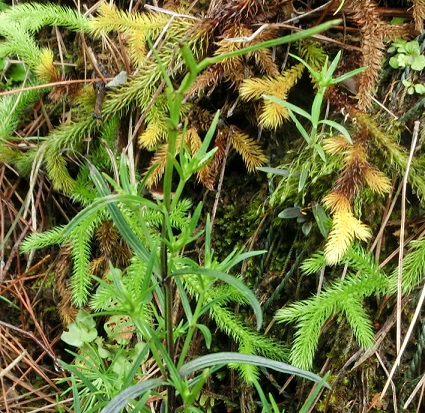 b0181818_109215.jpg