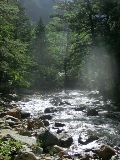 a0315420_010783.jpg