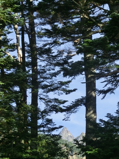 a0315420_04230.jpg
