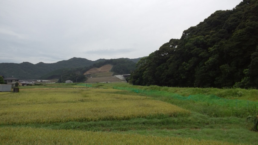 凪ぎです_a0093423_82136100.jpg